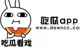 网红爆料吃瓜反差,吃瓜群众背后的反差人生