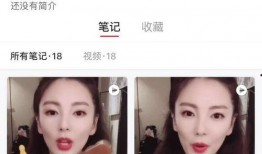 冰冰爆料视频大全,揭秘娱乐圈幕后真相